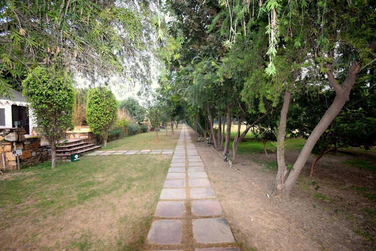 Sultan Bagh Resort By The Sky Imperial 萨瓦伊马多普尔 外观 照片