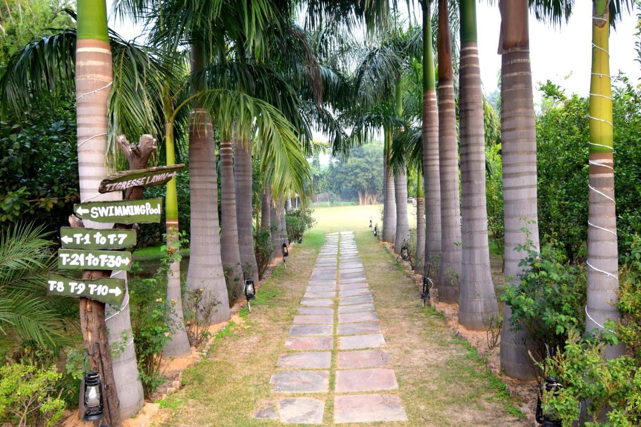 Sultan Bagh Resort By The Sky Imperial 萨瓦伊马多普尔 外观 照片