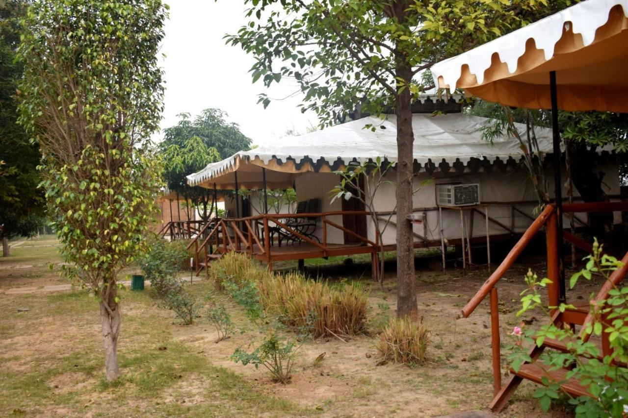 Sultan Bagh Resort By The Sky Imperial 萨瓦伊马多普尔 外观 照片