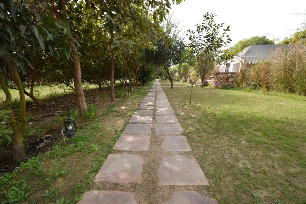 Sultan Bagh Resort By The Sky Imperial 萨瓦伊马多普尔 外观 照片